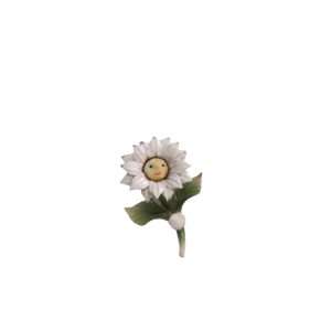 girasole