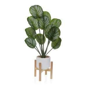 pianta_con_vaso