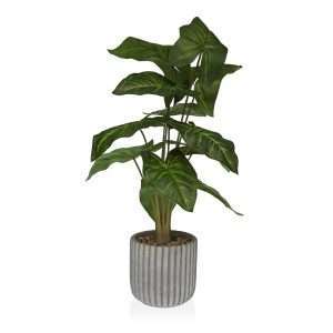 pianta_in_pot_di_carta_mache